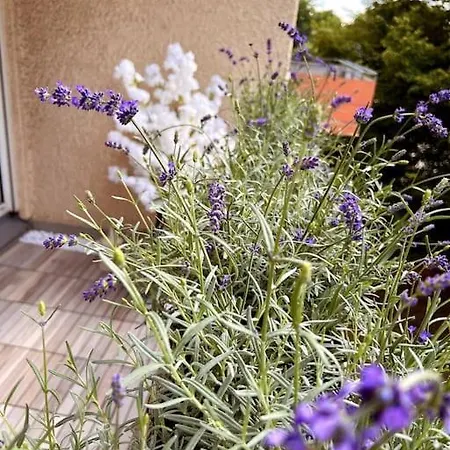 Apartamento Stylish With Beautiful Balcony Ingolstadt